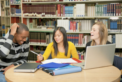 Essay Structure: Learn How to Write Essay Paragraphs